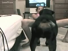 Large dark dog has his way with a wanting slender legal age teenager in this beastiality movie scene 